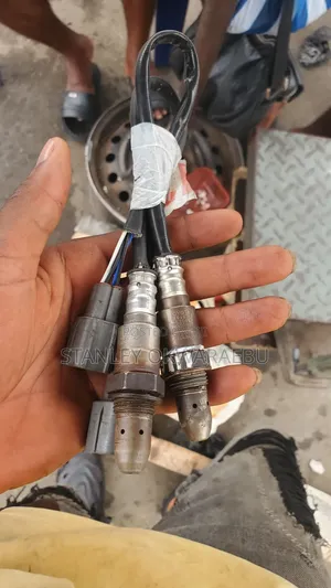 Exhaust System