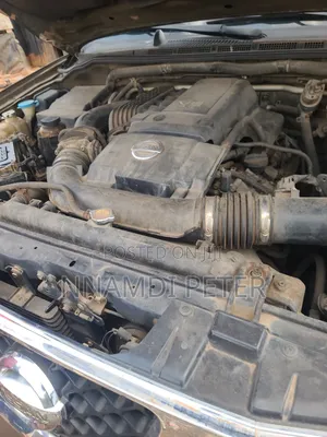 Nissan Pathfinder 2005 Brown