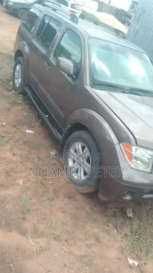 Nissan Pathfinder 2005 Brown