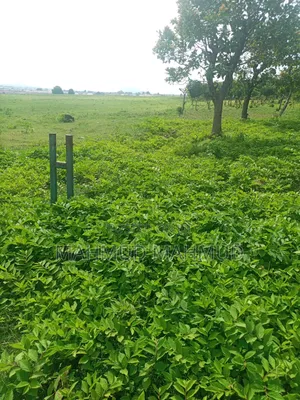 Parkview Estates Land
