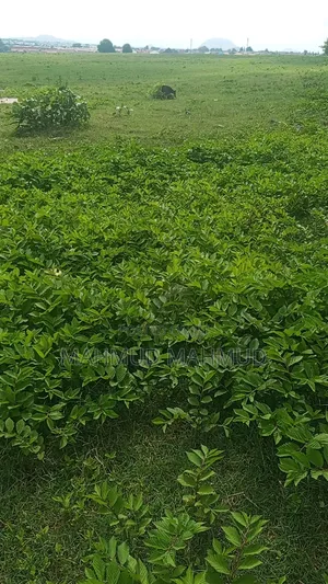 Fostrees Estate Land