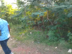200 Acres of Land at Iseyin After Abeokuta