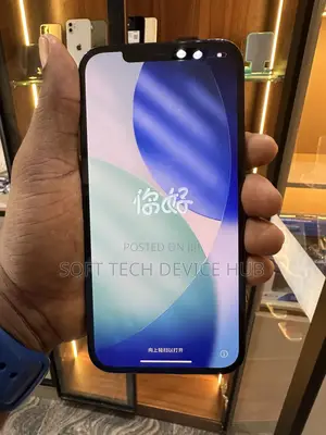 Apple iPhone 12 Pro Max 256 GB Blue