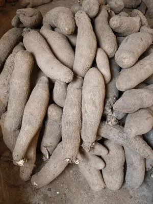 Sweet and White Benue Yams