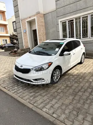 Kia Forte EX Hatchback 2015 White