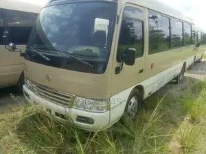 Toyota Coaster 2015 Gold