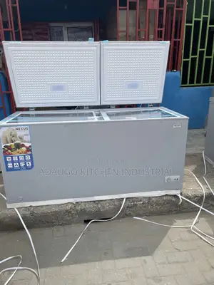 600l Nexus Chest Deep Freezer