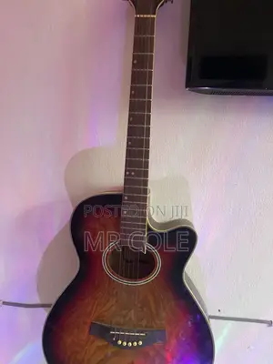 Tansen Professional Box Guitar