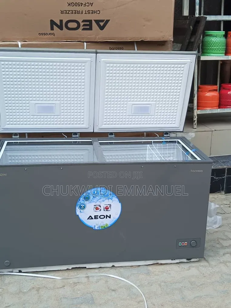 Aeon Double Door Freezer 500l