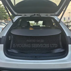 Lexus RX 2025 White