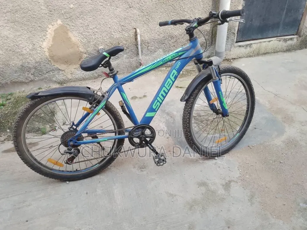 Adult Bicycle