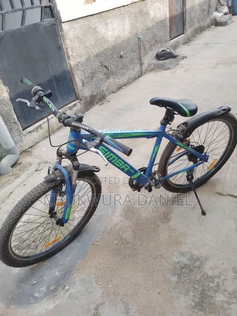 Adult Bicycle