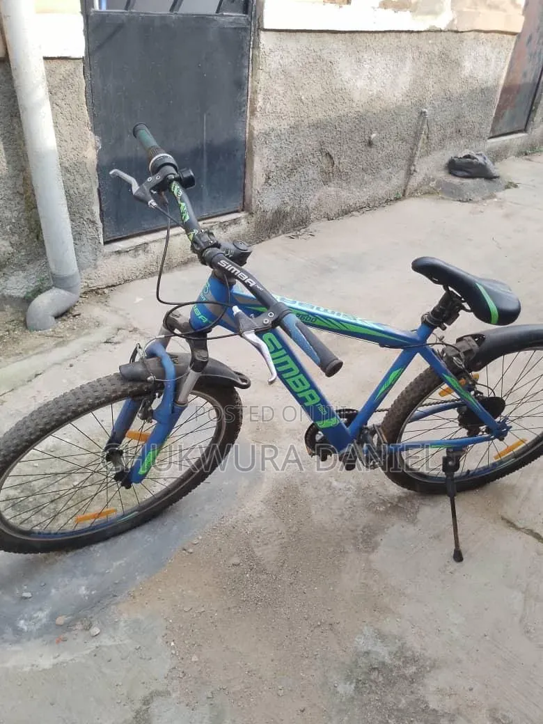 Adult Bicycle