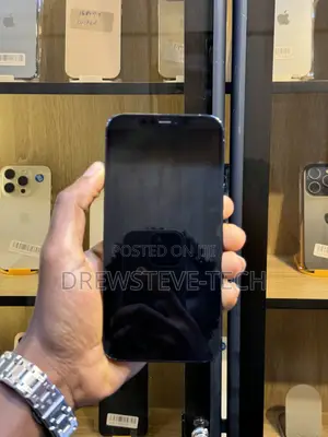 Apple iPhone 12 Pro Max 256 GB Blue