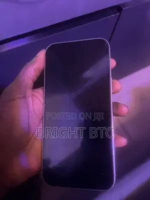 Apple iPhone 16 Pro Max 256 GB Gray