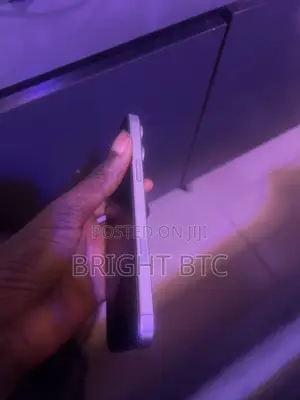 Apple iPhone 16 Pro Max 256 GB Gray