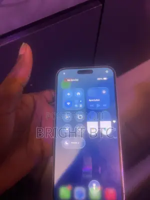 Apple iPhone 16 Pro Max 256 GB Gray