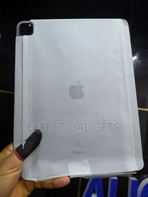 Apple iPad Pro (2022) 512 GB Gray