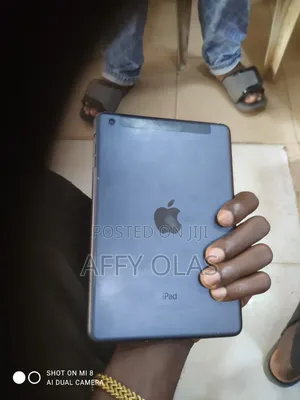 Apple iPad mini 2 16 GB Gray