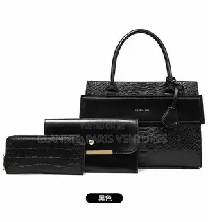 3 in 1 Handbag
