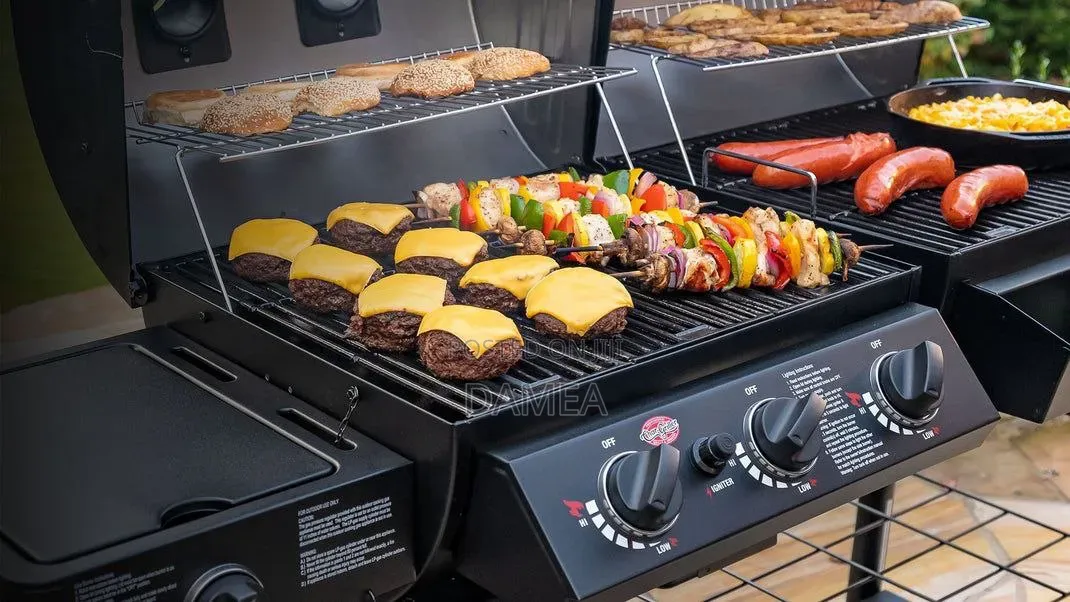 Hybrid Gas and Charcoal BBQ Grill