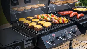 Hybrid Gas and Charcoal BBQ Grill