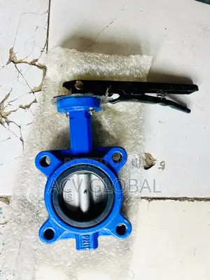 2 1/2” 4 Holes Butterfly Valve