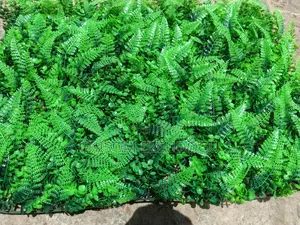 Flower Mat (40cm By 60cm)