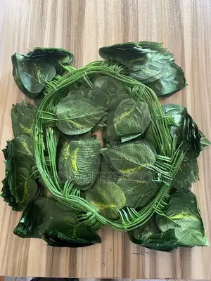 Green Leave Dropping Flowers
