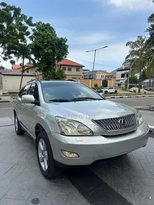 Lexus RX 330 2004 Gray