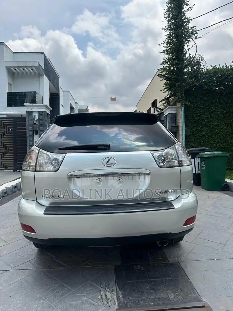 Lexus RX 330 2004 Gray