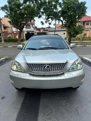 Lexus RX 330 2004 Gray