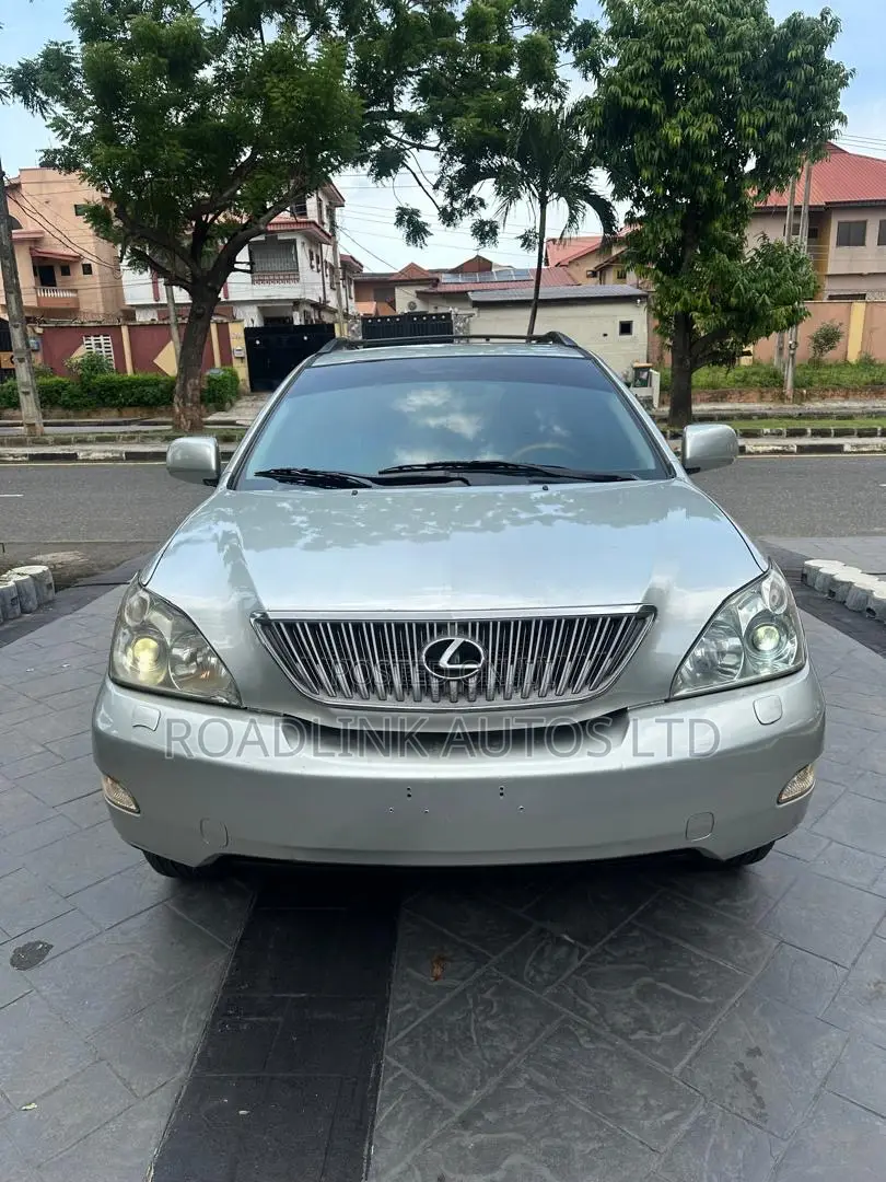 Lexus RX 330 2004 Gray