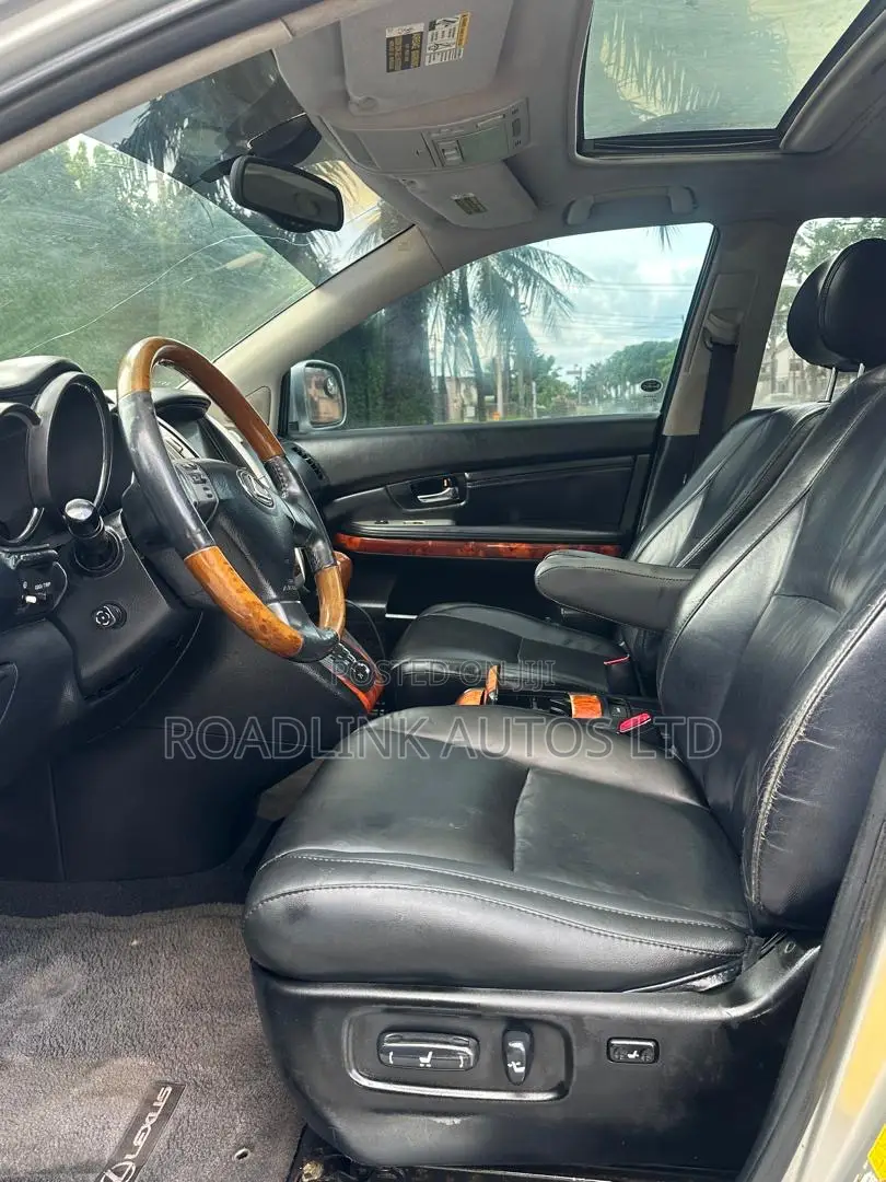 Lexus RX 330 2004 Gray