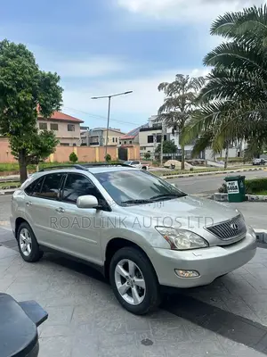 Lexus RX 330 2004 Gray