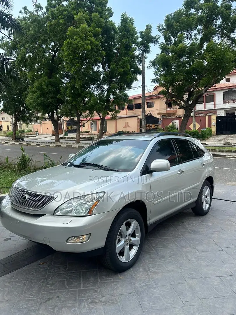 Lexus RX 330 2004 Gray