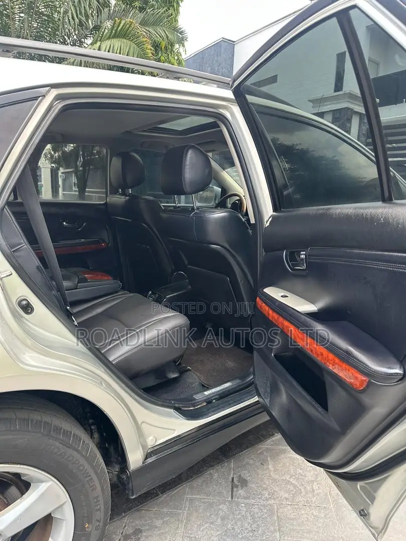 Lexus RX 330 2004 Gray