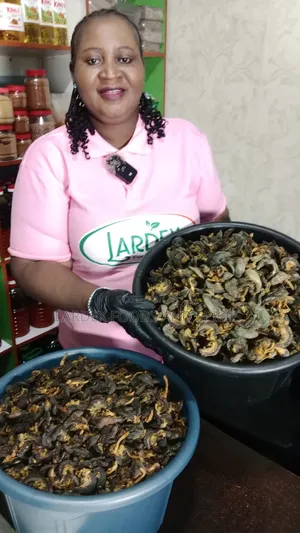 Oven Dried Snails
