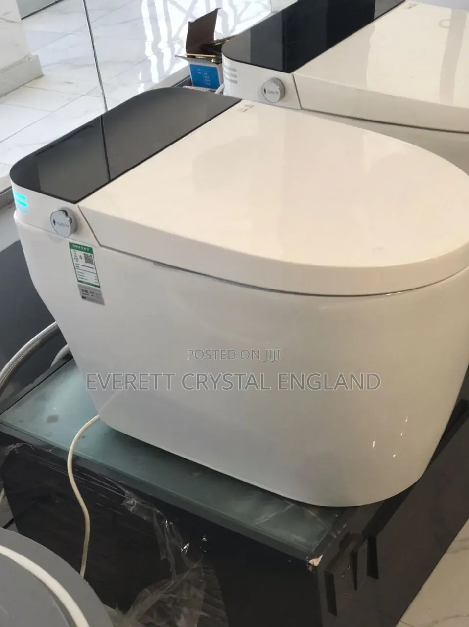 Intelligent Water Closet