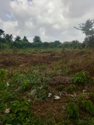 Two (2) Plots of Land for Sale at Ajokete Area, Apata, Ibadan