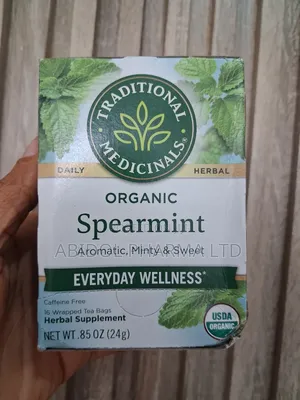 Traditional Medicinals Organic Spearmint Tea 16 Bags