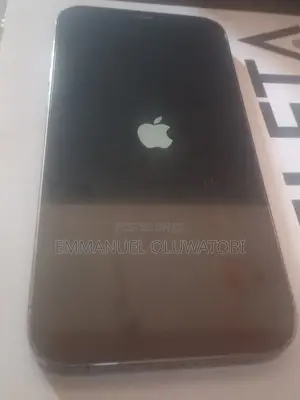 Apple iPhone 12 Pro Max 128 GB Gray