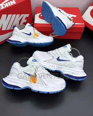 Nike Skate Sneakers 