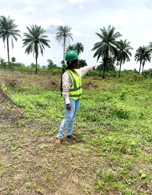 One Plot Of Land