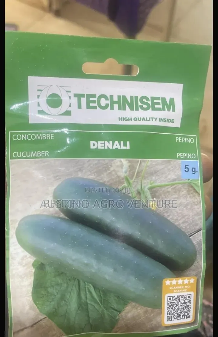 Cucumber Seeds