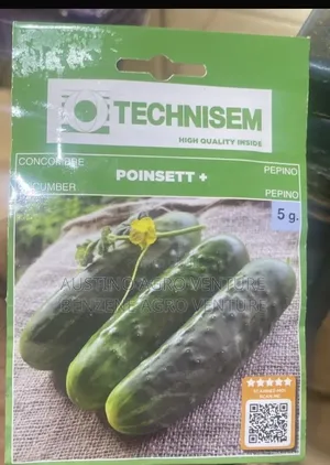 Cucumber Seeds
