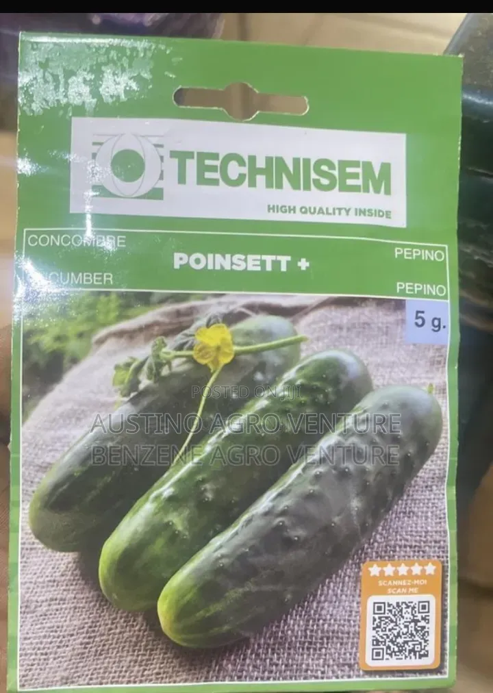 Cucumber Seeds
