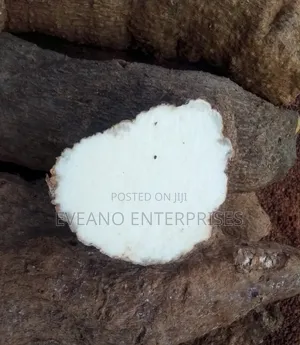 Benue Yams