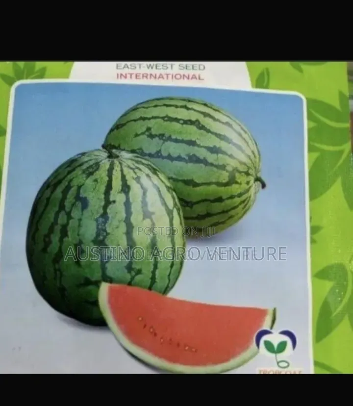 Watermelon Seed