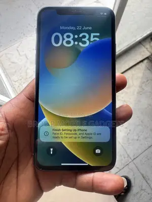 Apple iPhone X 256 GB Silver